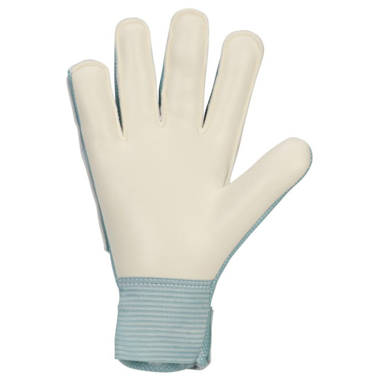 Nike Παιδικά γάντια τερματοφύλακα Match Goalkeeper Gloves